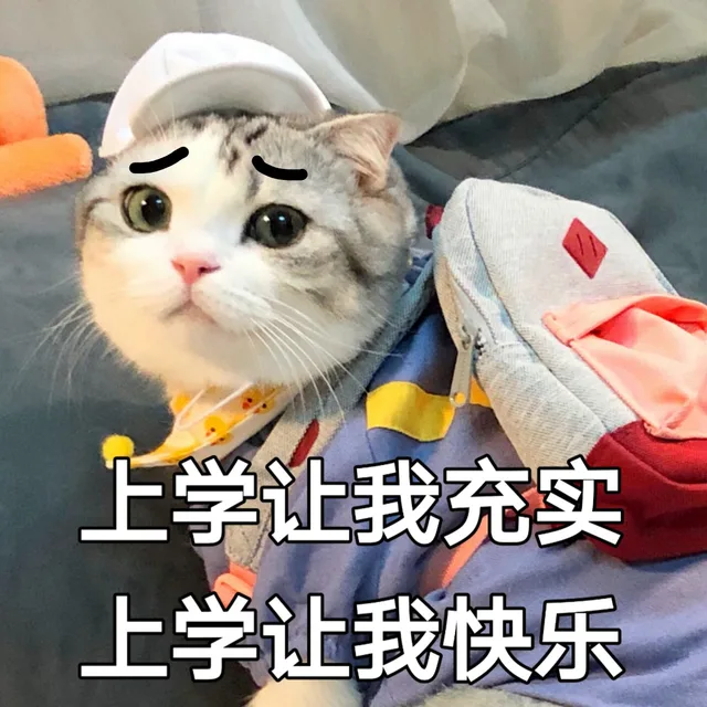 上学让我充实，上学让我快乐