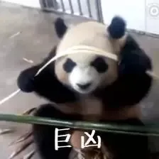 巨凶