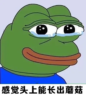 感觉头上能长出蘑菇