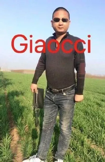 giaocci gucci（giaocci gucci）