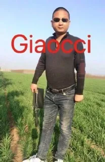 giaocci gucci