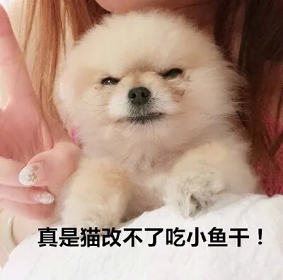 真是猫改不了吃小鱼干！（真是猫改不了吃小鱼干！）