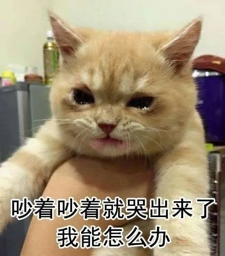 吵着吵着就哭出来了我能怎么办