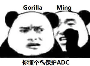Gorilla Ming你懂个人保护ADC（Gorilla Ming你懂个人保护ADC）
