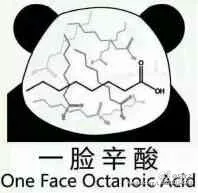 一脸辛酸（One Face Octanoic Acid）（一脸辛酸（One Face Octanoic Acid））