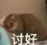 讨好（讨好）