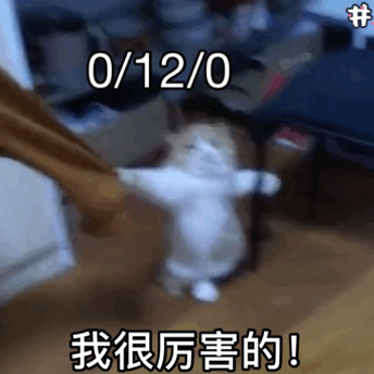 我很厉害的 0/12/0