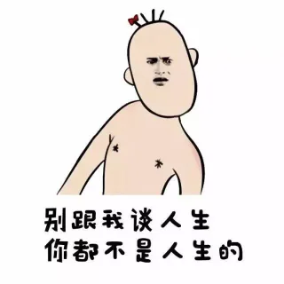 别跟我谈人生 你都不是人生的