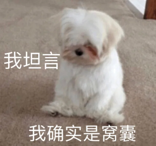 我坦言 我确实是窝囊（我坦言 我确实是窝囊）