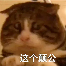 这个颠公(猫猫表情包)（这个颠公(猫猫表情包)）