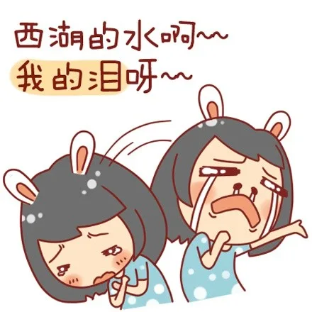 西湖的水啊，我的泪啊