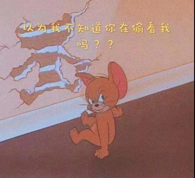以为我不知道你在偷看我吗（以为我不知道你在偷看我吗）