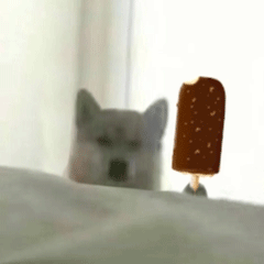 doge狗狗拿雪糕动图表情包（doge狗狗拿雪糕动图表情包）