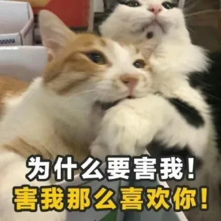 为什么要害我!害我那么喜欢你!