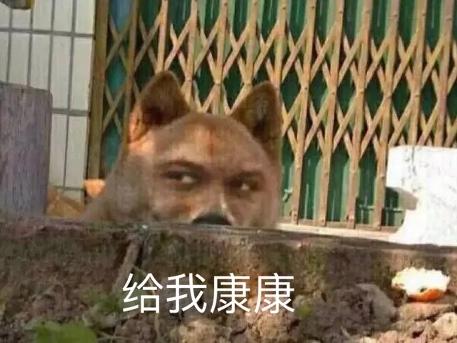 给我看看（狗子暗中观察）（给我看看（狗子暗中观察））