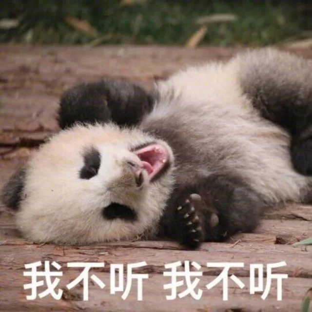 我不听我不听