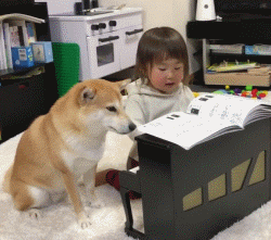 柴犬与萌娃一起看书
