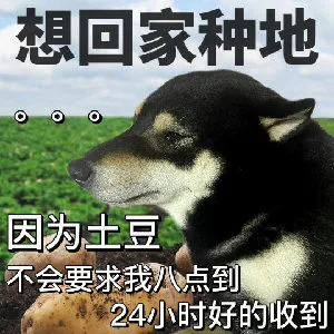 想回家种地000因为土豆不会要求我八点到24小时好的收到（想回家种地000因为土豆不会要求我八点到24小时好的收到）