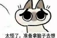 太怪了,准备拿脑子去想