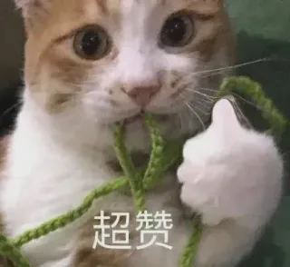超赞