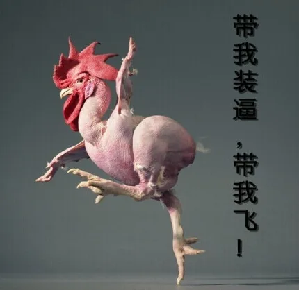 逼我装逼，带我飞！（逼我装逼，带我飞！）
