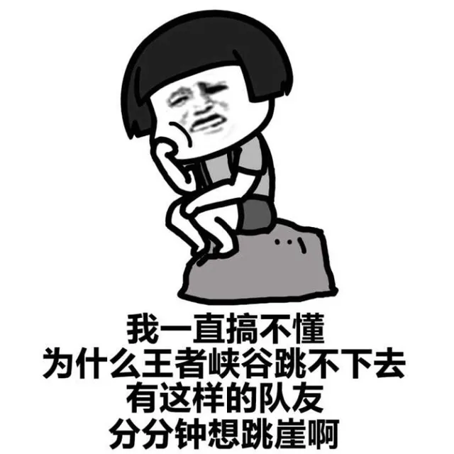 我一直搞不懂为什么王者峡谷跳不下去有这样的队友分分钟想跳崖啊
