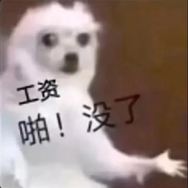 工资啪！没了（工资啪！没了）