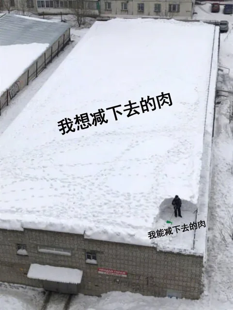 我想减下去的肉 vs 我能减下去的肉（雪地）