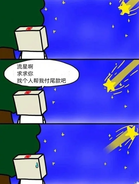 流星啊求求你找个人帮我付尾款吧