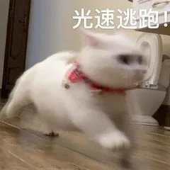 光速逃跑！（光速逃跑！）