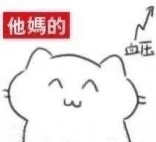 肥肥猫猫