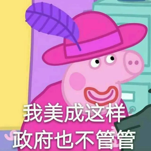 我美成这样政府也不管管（我美成这样政府也不管管）