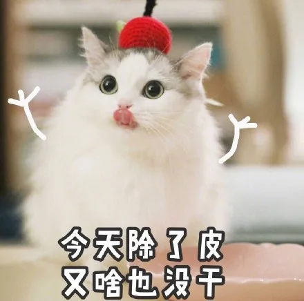 今天除了皮又啥也没干（今天除了皮又啥也没干）