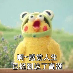 啊~感觉人生已经到达了高潮（啊~感觉人生已经到达了高潮）