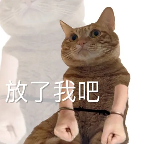 放了我吧