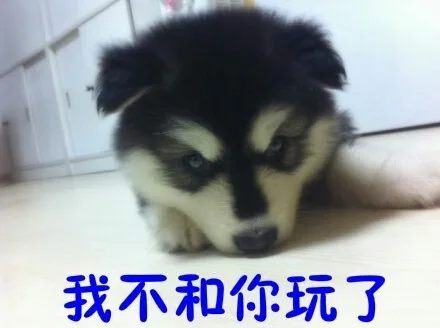 我不和你玩了