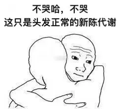 不哭哈,不哭这只是头发正常的新陈代谢（不哭哈,不哭这只是头发正常的新陈代谢）