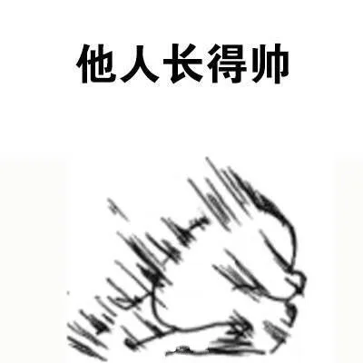 他人长得帅