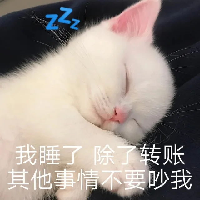 我睡了除了转账其他事情不要吵我（我睡了除了转账其他事情不要吵我）