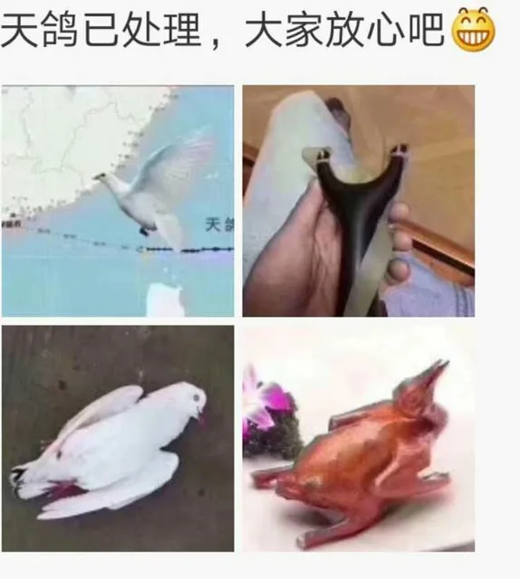天鸽已处理，大家请放心