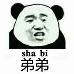 sha b弟弟（sha b弟弟）