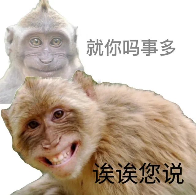 就你吗事多诶诶您说（就你吗事多诶诶您说）
