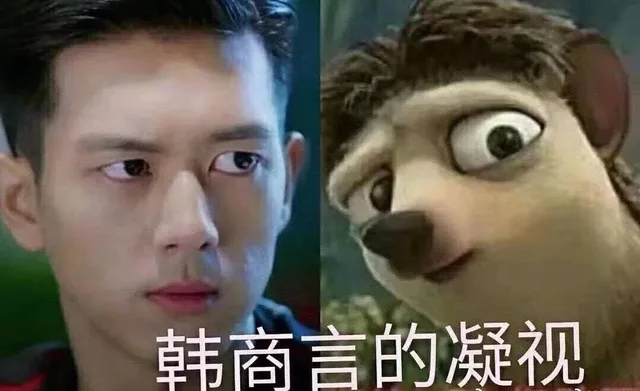 韩商言的凝视