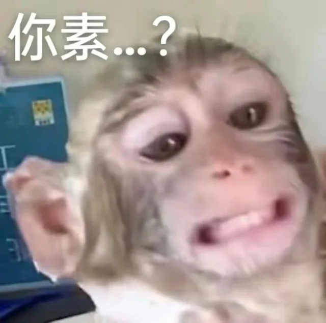 你素…？（你素…？）
