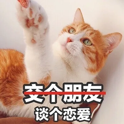 交个朋友谈个恋爱吧（交个朋友谈个恋爱吧）