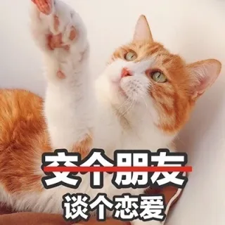 交个朋友谈个恋爱吧