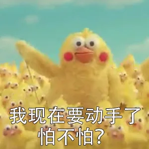 我鹦鹉兄弟今天就想打人！_鹦鹉兄弟_小黄鸡_卡通