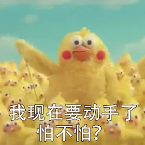 我鹦鹉兄弟今天就想打人！_鹦鹉兄弟_小黄鸡_卡通表情包