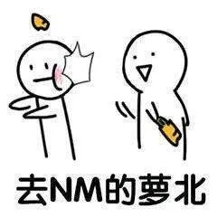 去NM的萝北（去NM的萝北）