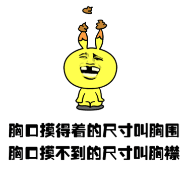 胸口摸得到的尺寸叫胸围 胸口摸不到的尺寸叫胸襟
